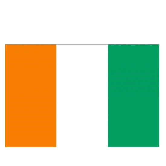 Bethel El-shaddaı Multı-servıce