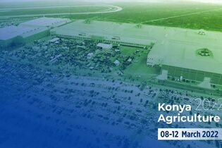 Balkan, Rusya, Filistin vb. B2B İş Görüşmeleri