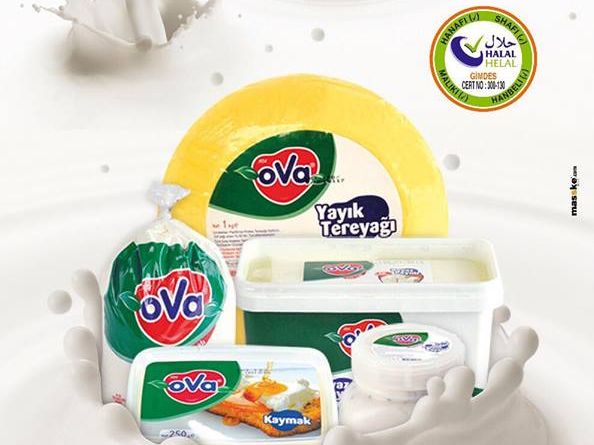 Süt Ve Süt Ürünleri