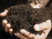 Bitkisel İlaç Ve Gübre