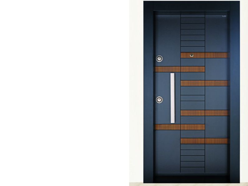 STEEL DOOR