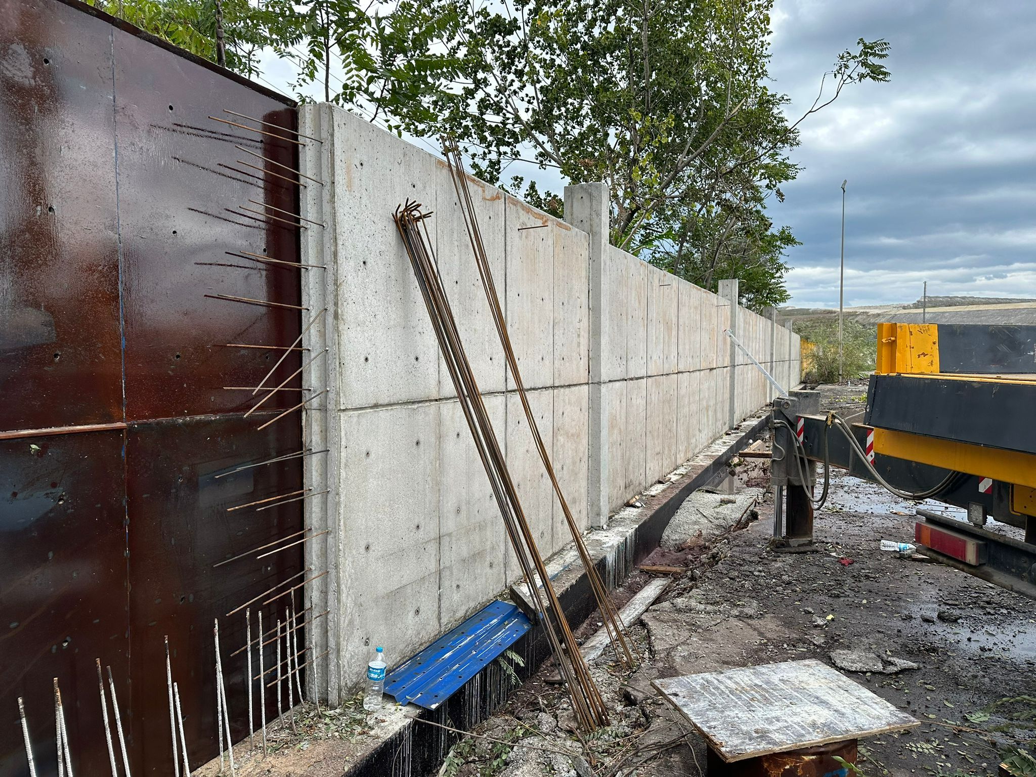 WALL MOLD