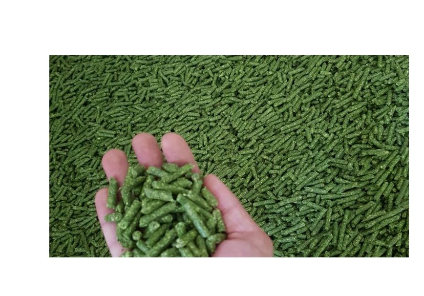 animal feed