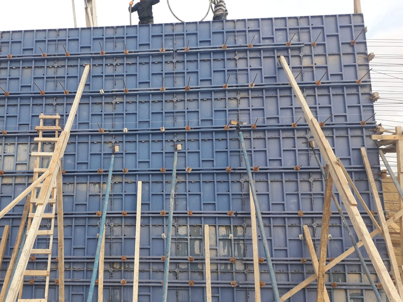 WALL MOLD
