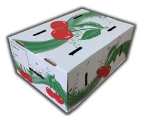 Ofset Baskılı Sıvama Kutu