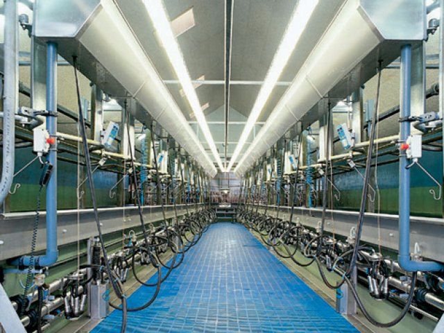 Süt Sağım Makinası